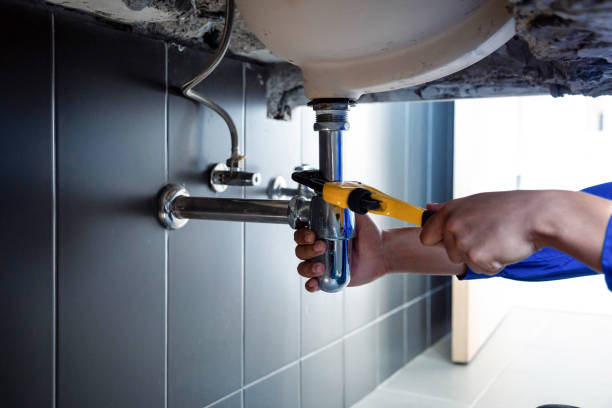 Best Commercial Plumbing Services  in Edmonds, WA